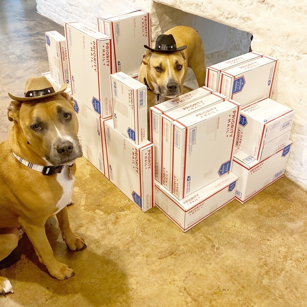 FOLLOW MY CUTE PAWSH ASSISTANTS! 🐶🐶🛍👑🐝 - Picture 11 of 16